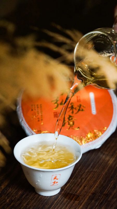 天弘茶業基地高端古樹茶隆重上市